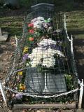 image of grave number 63316
